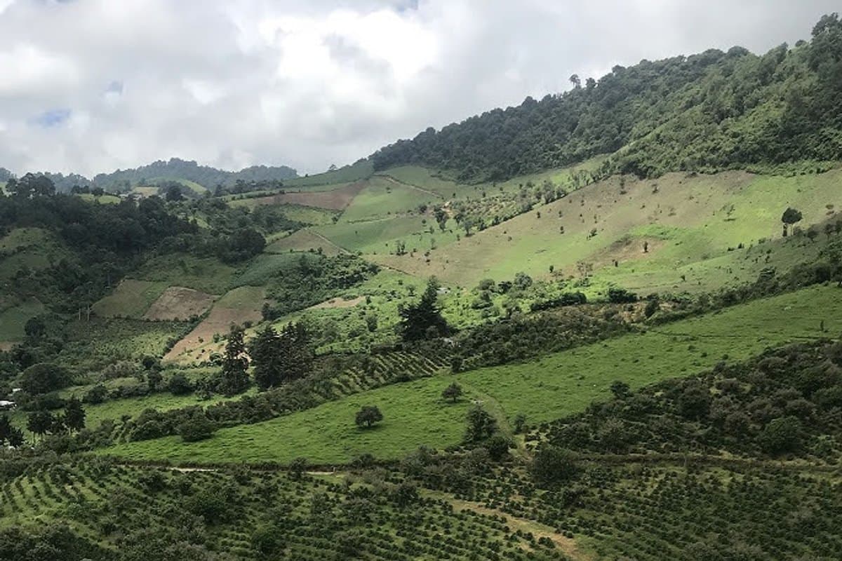 Guatemala El Socorro